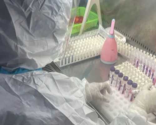 合肥试管婴儿成功率评估及最佳选择指南