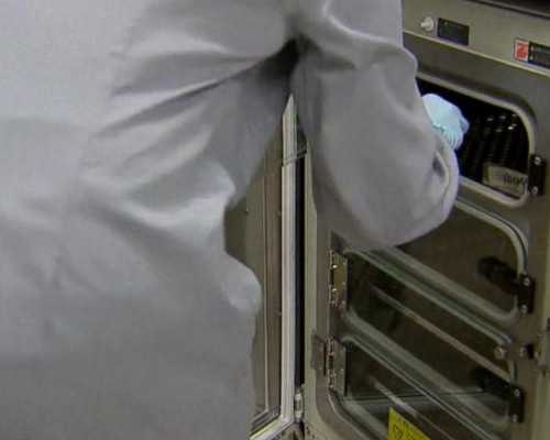 宝宝生长发育关键指标：头围发育对照详解