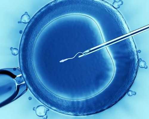 军人家庭试管婴儿的优惠政策探讨