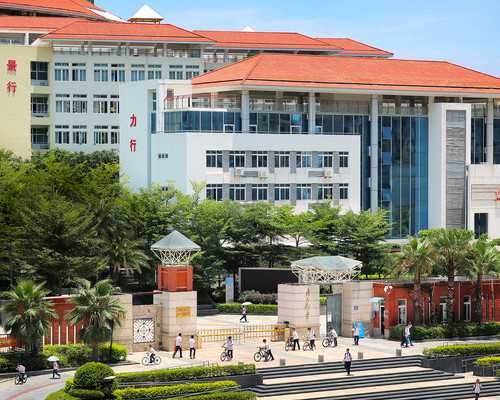 输卵管切除后多久能迎来新生命？解读慢性输卵管炎的严峻信号