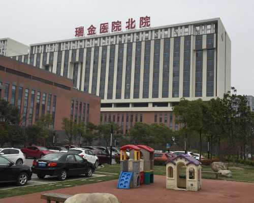 第三代试管助孕：详细流程与费用指南